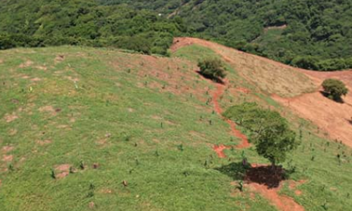 terreno1