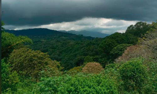 terreno3